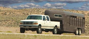 Horse Trailer Moving
